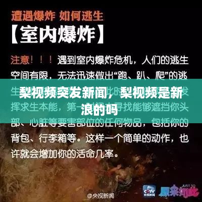 梨視頻突發(fā)新聞，梨視頻是新浪的嗎 