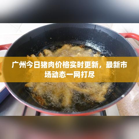 廣州今日豬肉價(jià)格實(shí)時(shí)更新，最新市場(chǎng)動(dòng)態(tài)一網(wǎng)打盡