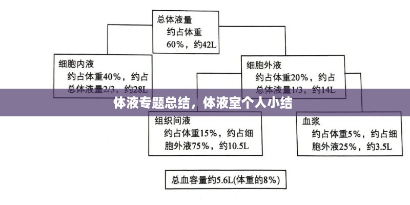 體液專(zhuān)題總結，體液室個(gè)人小結 