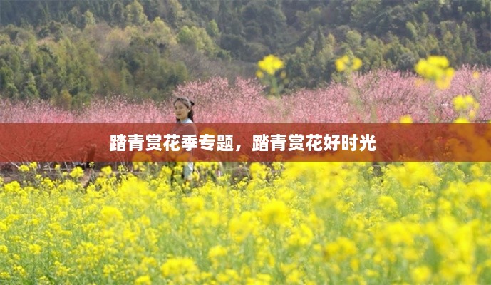 踏青賞花季專(zhuān)題，踏青賞花好時(shí)光 