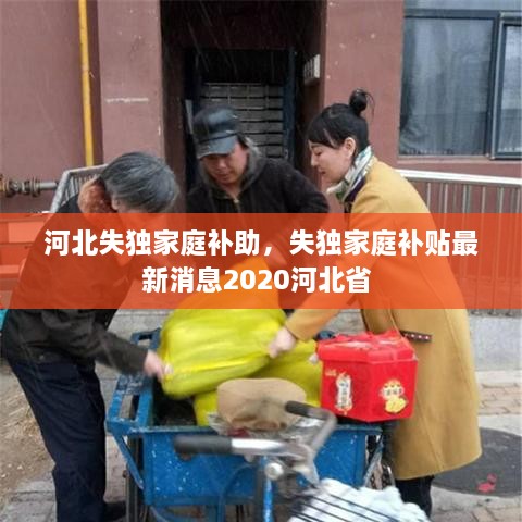 河北失獨家庭補助，失獨家庭補貼最新消息2020河北省 