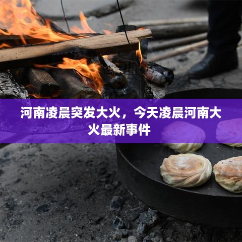 河南凌晨突發(fā)大火，今天凌晨河南大火最新事件 