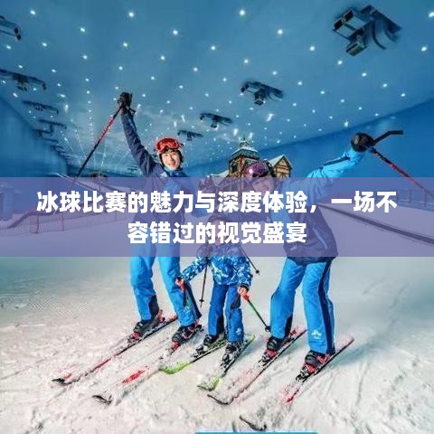 冰球比賽的魅力與深度體驗，一場(chǎng)不容錯過(guò)的視覺(jué)盛宴