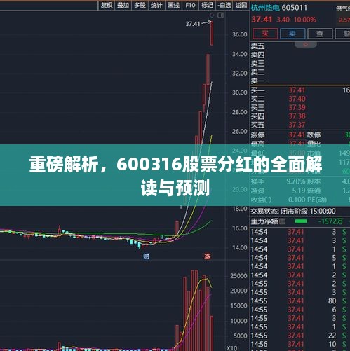 重磅解析，600316股票分紅的全面解讀與預測