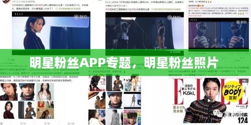 明星粉絲APP專(zhuān)題，明星粉絲照片 