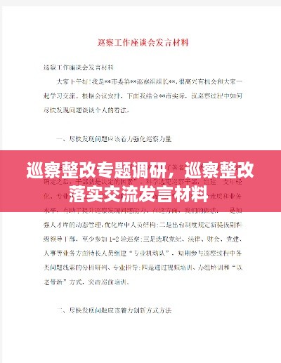 巡察整改專(zhuān)題調研，巡察整改落實(shí)交流發(fā)言材料 