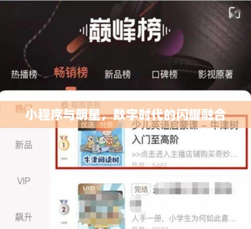 小程序與明星，數字時(shí)代的閃耀融合