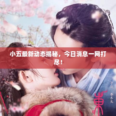 小五最新動(dòng)態(tài)揭秘，今日消息一網(wǎng)打盡！