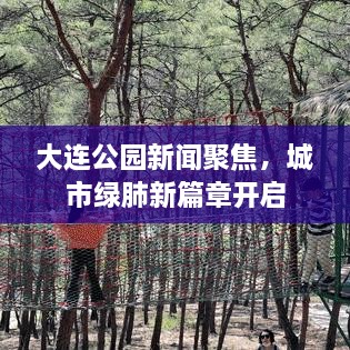大連公園新聞聚焦，城市綠肺新篇章開(kāi)啟