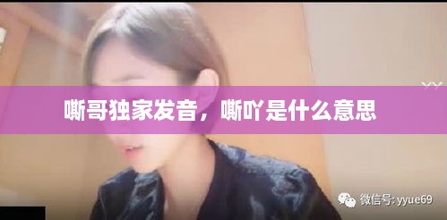 嘶哥獨家發(fā)音，嘶吖是什么意思 