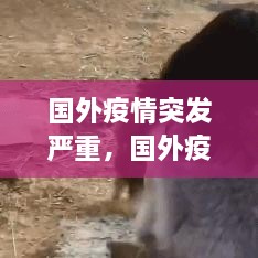 國外疫情突發(fā)嚴重，國外疫情形勢嚴峻 
