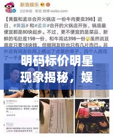 明碼標價(jià)明星現象揭秘，娛樂(lè )圈的新挑戰與觀(guān)察