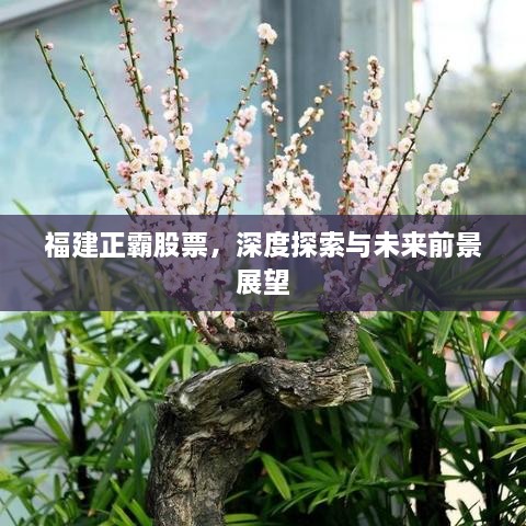 福建正霸股票，深度探索與未來(lái)前景展望