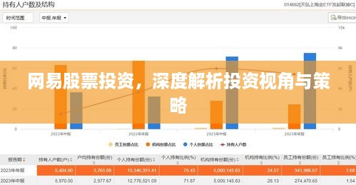 網(wǎng)易股票投資，深度解析投資視角與策略