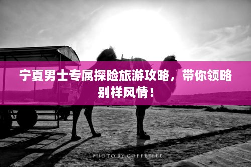 寧夏男士專(zhuān)屬探險旅游攻略，帶你領(lǐng)略別樣風(fēng)情！